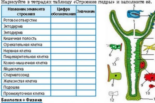 Ошибка на сервере кракен