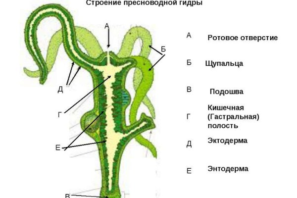 Кракен ссылка тор