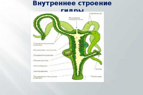 Кракен ссылка в тор