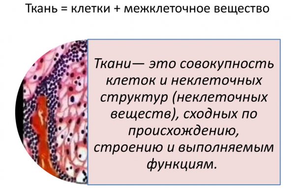 Восстановить аккаунт на кракене